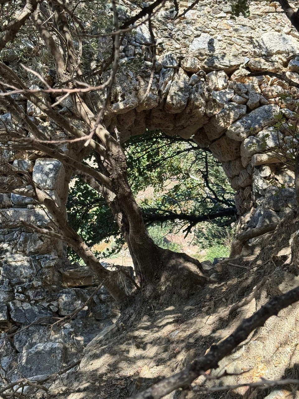 Griechenland - Myrthios - 