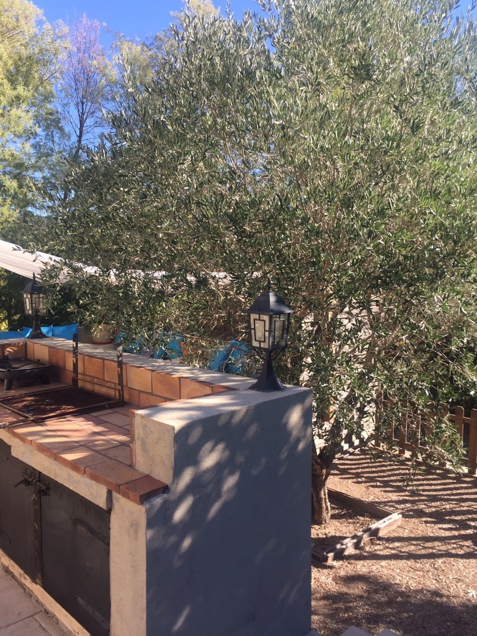 Frankreich - Grimaud - Grillplatz mit Olivenbaum