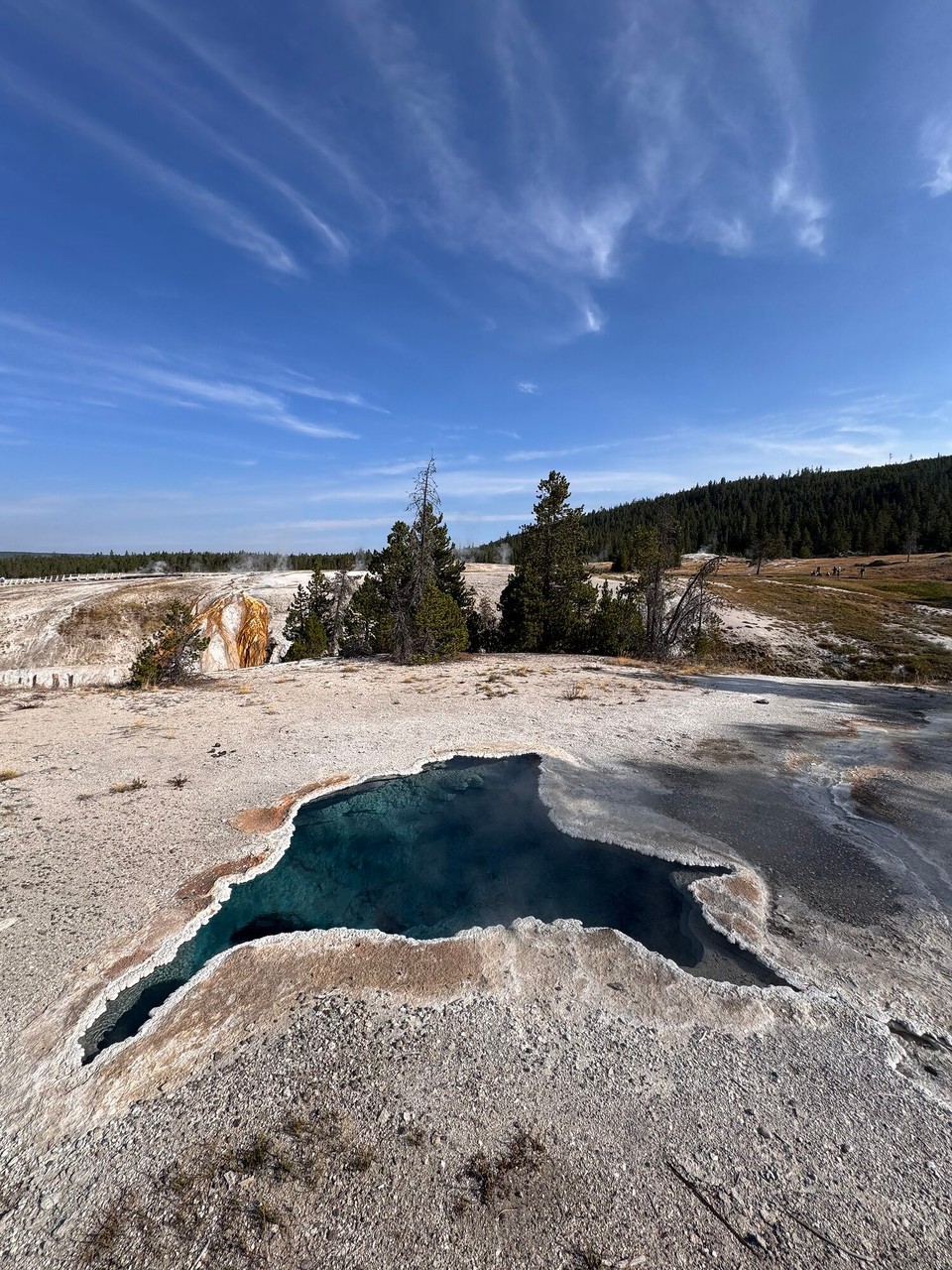 Vereinigte Staaten - Yellowstone National Park - Blue Star Spring bim Old Faithful. Das esch en kristalblaui heissi Quelle. Sie esch wunderschön und sehr ihdrücklich. S‘Wasser esch so schön klar und blau.☺️