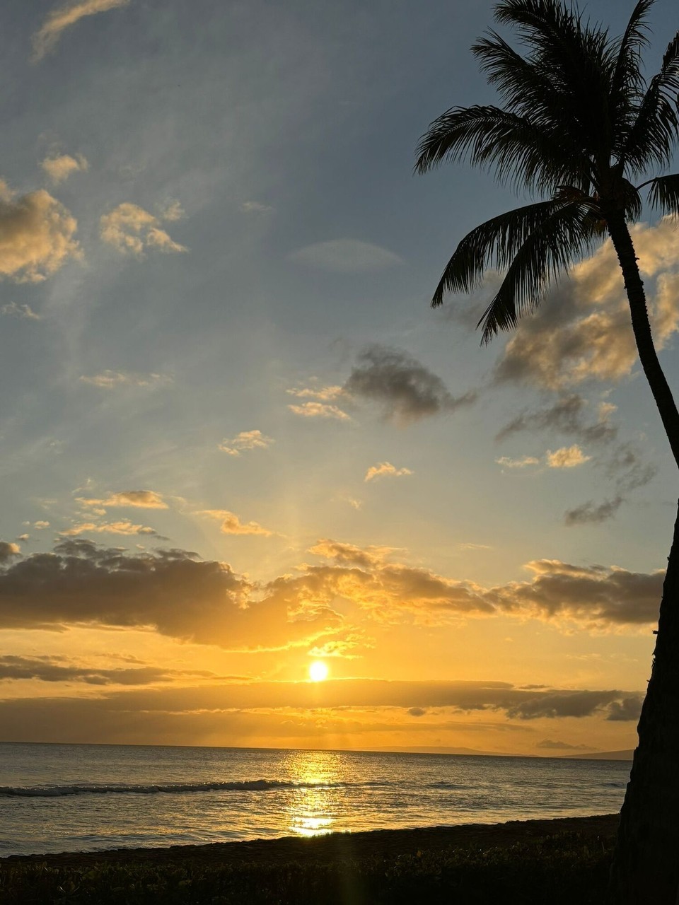 Vereinigte Staaten - Kaanapali - 