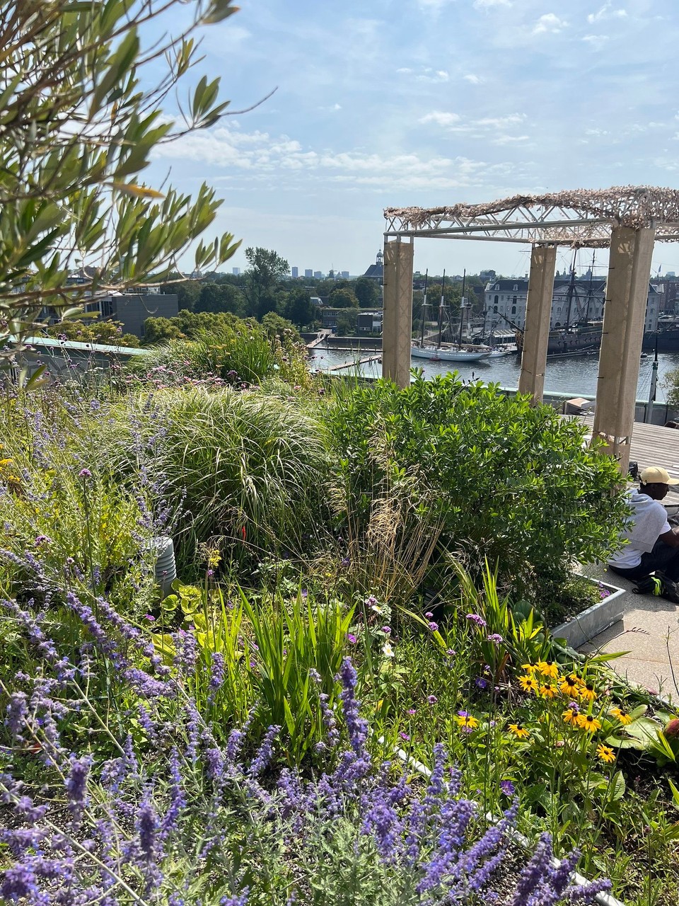 Niederlande - Amsterdam - 