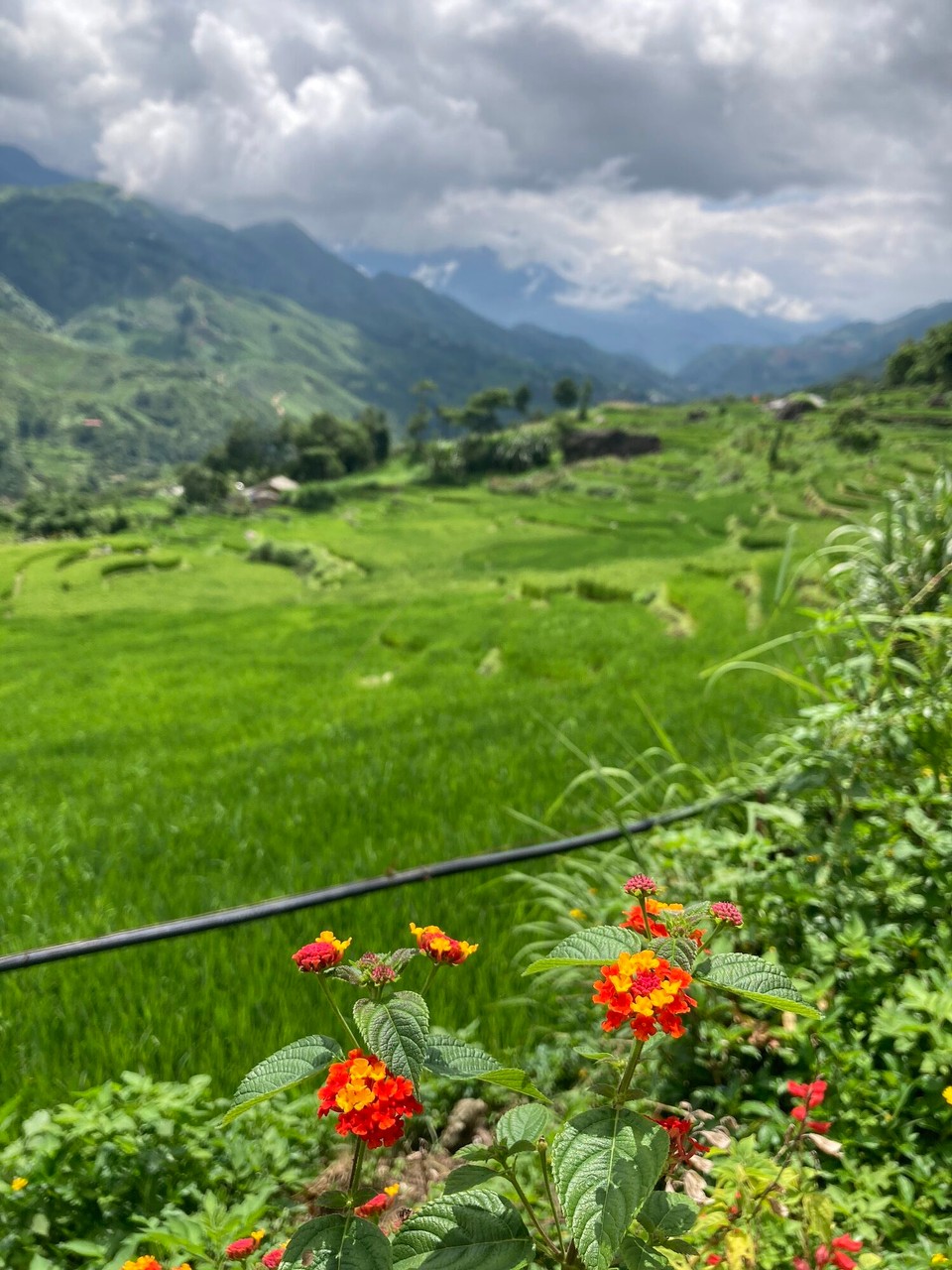 Vietnam - Sa Pa - 