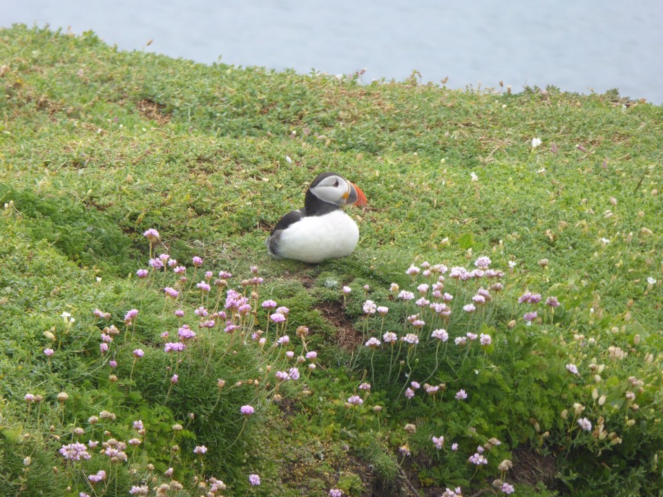 Ireland - Kilmore Quay - 