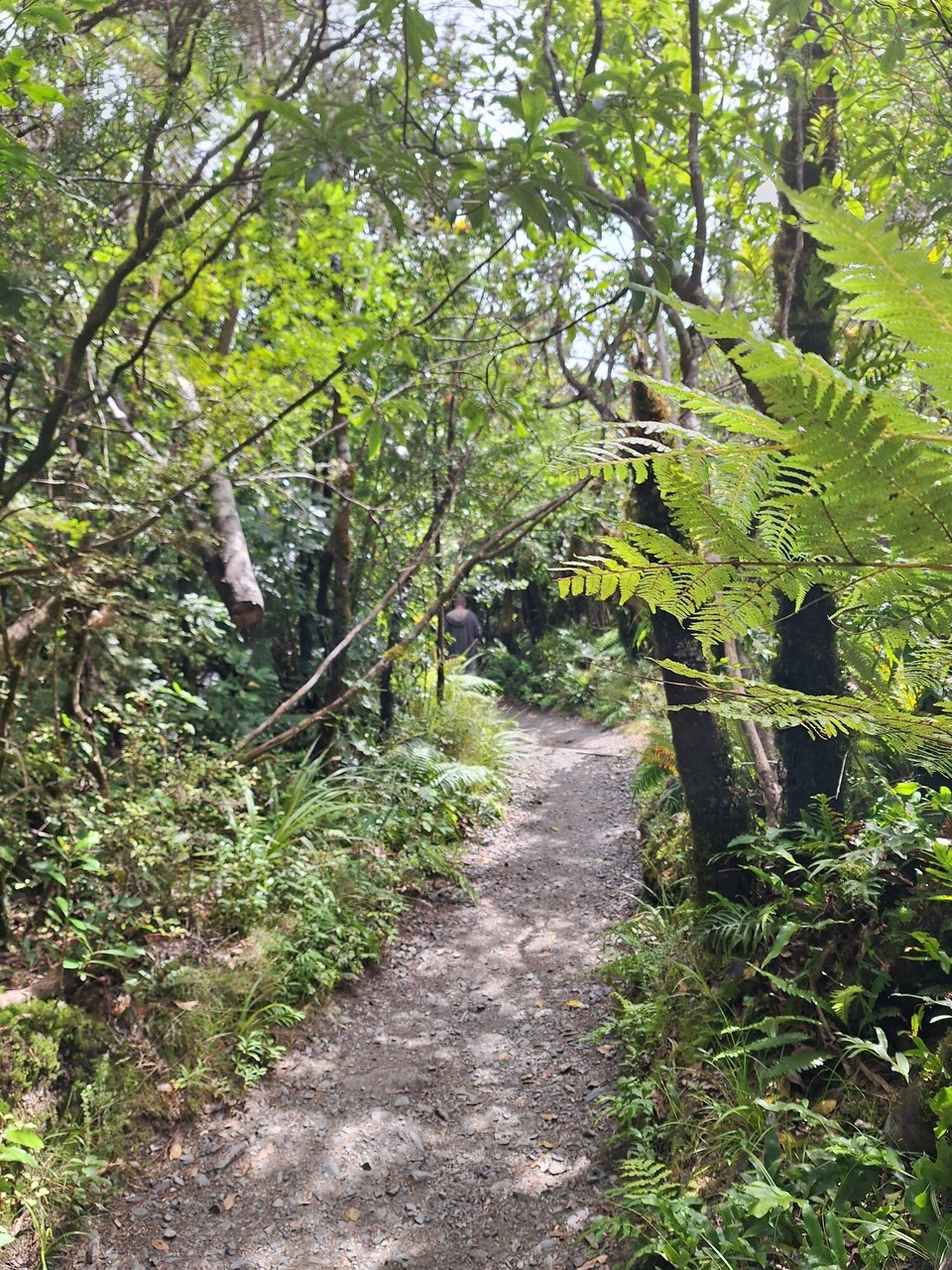 Neuseeland - Turangi - 